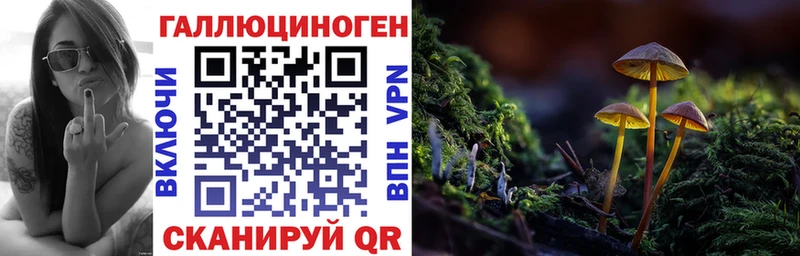 Галлюциногенные грибы ЛСД кракен маркетплейс Кемерово купить наркоту